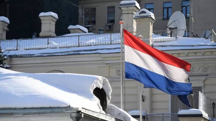 СМИ: в Нидерландах расследуют возможные нарушения санкций против России