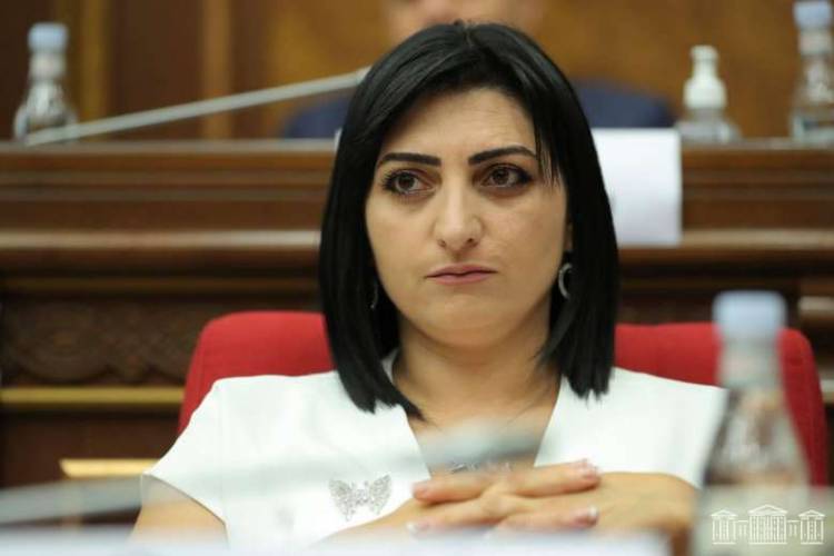 «Freedom House-ը Հայաստանում մարդու իրավունքների պաշտպանությանն առնչվող մտահոգիչ արձանագրումներ է արել. Թովմասյան
