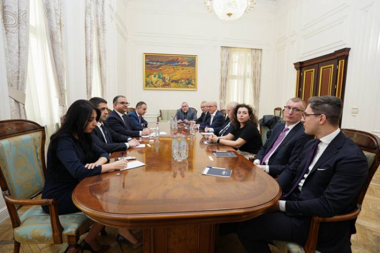Փոխվարչապետը լեհ գործընկերների հետ անդրադարձել է Հայաստանում կապիտալի շուկայի զարգացմանը