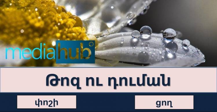 Թեստ․ գտի՛ր բառի նշանակությունը