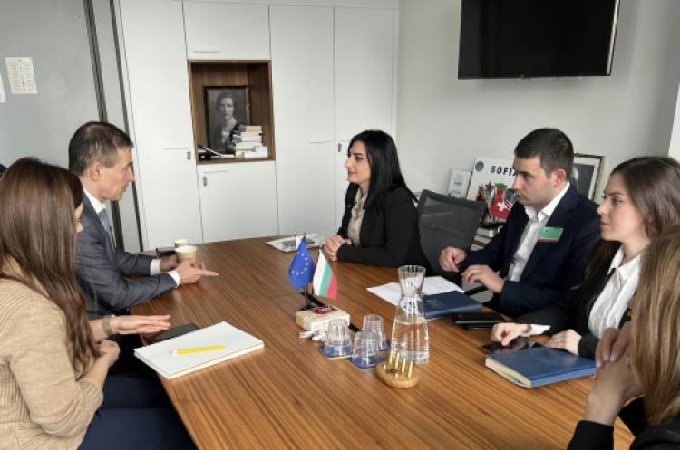Թագուհի Թովմասյանը հանդիպել է Եվրախորհրդարանում Հայաստանի հարցերով զեկուցողին
