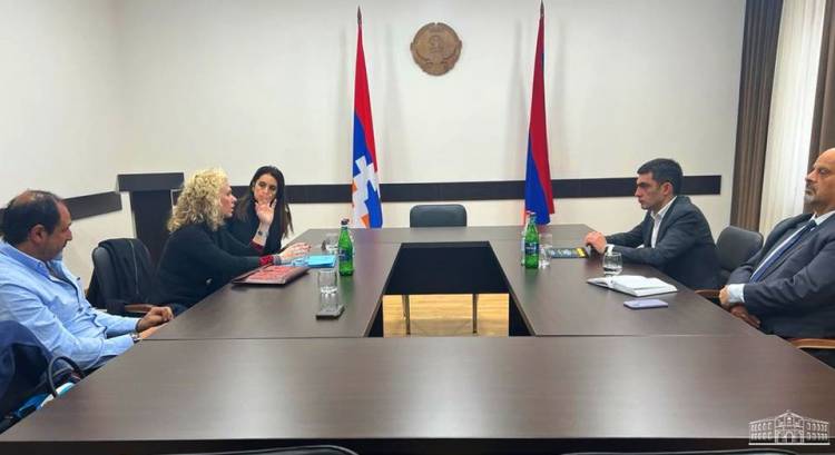 Արցախի ԱԳ նախարարն ընդունել է Լեմկինի անվան ինստիտուտի համահիմնադրին