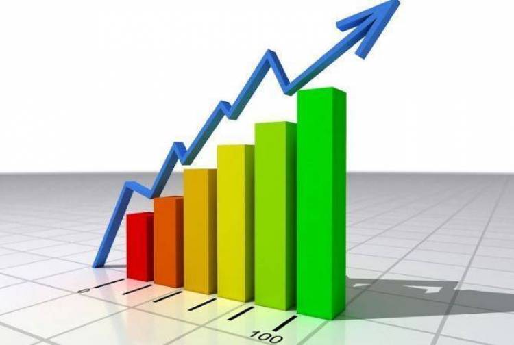 Տնտեսական ակտիվության ցուցանիշը կազմել է 14%