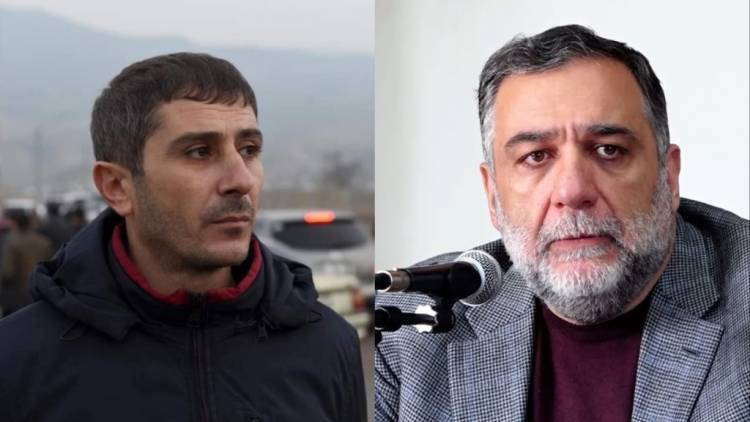 Մի՛ զբաղվեք քաղաքականությամբ․ Պետրոսյանը՝ Վարդանյանին