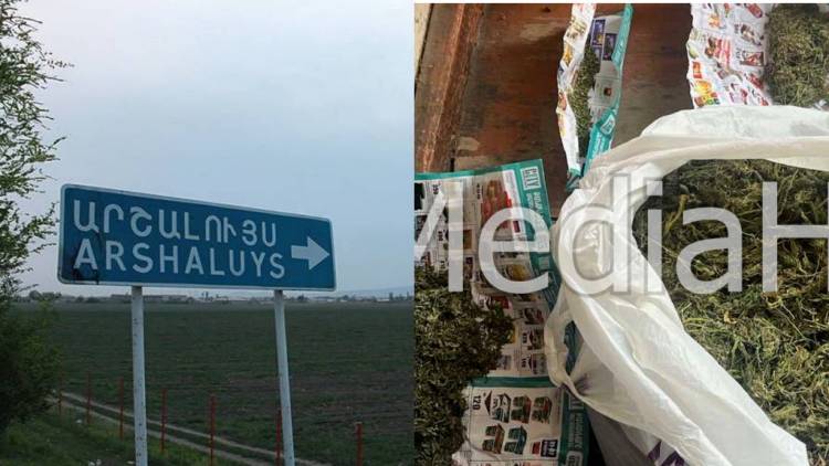 «Պլանն» ապօրինի աճեցրել ու փռել է արեւին․ արշալույսցի Արտյոմի տանը տոպրակներով «մարիխուանա» են հայտնաբերել