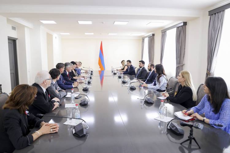 Արարատ Միրզոյանը հանդիպել է Արգենտինայի խորհրդարանական պատվիրակության հետ