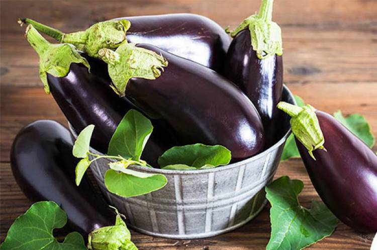 Ու՞մ է հակացուցված սմբուկը