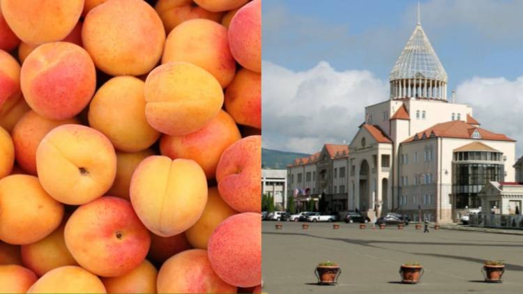 1 կգ ծիրանն Արցախում վաճառվում է 4500 դրամ, խակ խնձորը՝ 2500 դրամ․ ԱՀ ԱԺ պատգամավոր