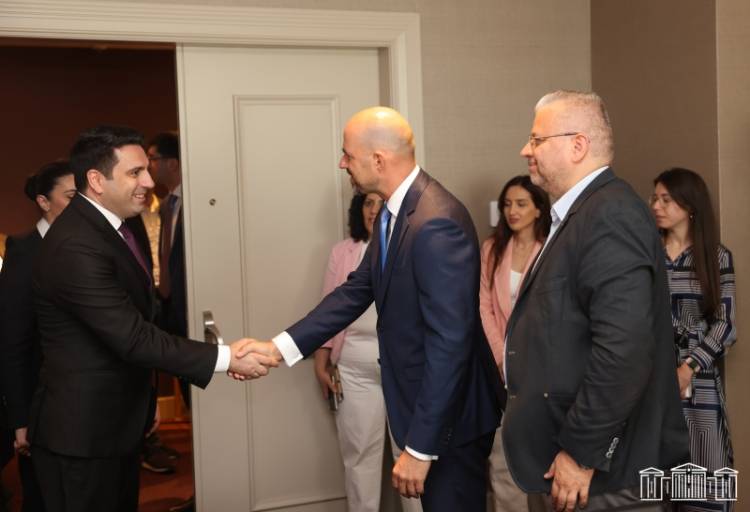 Ամենաբարդը կողմերին բավարարող վերջնական լուծում գտնելն է. լեհ փորձագետները՝ ՀՀ ԱԺ պատվիրակությանը
