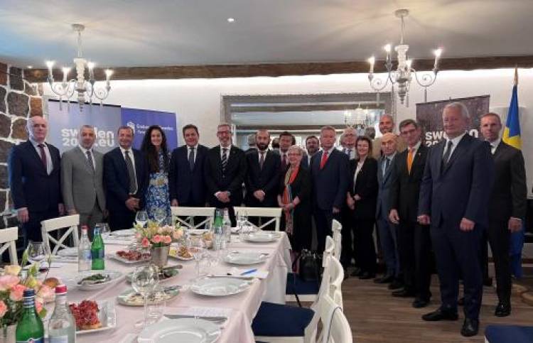 Քննարկվել է ՀՀ-ում ԵՄ դիտորդական առաքելությունը․ Միրզոյանը՝ Շվեդիայում էր
