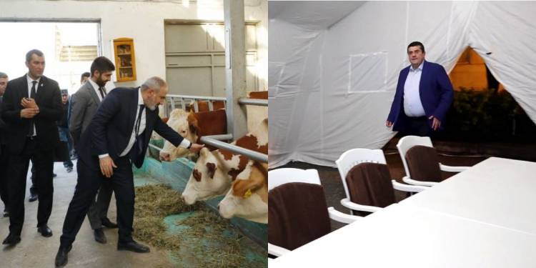 Ղեկավարներն անասնագոմ գնալու ու պալատկայում նստացույց անելու համար չեն. Շարմազանով