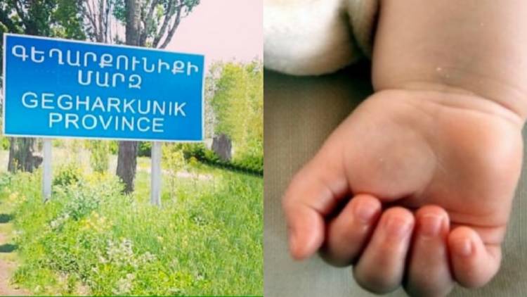 Երեխային մատուռում են թողել, շներն են նրան գտել ու տեղափոխել տոպրակը. գյուղապետ