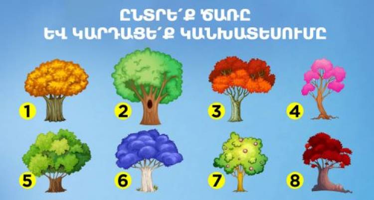 Ի՞նչ է սպասվում ձեզ այս ամիս. ընտրեք ծառը և կարդացեք կանխատեսումը