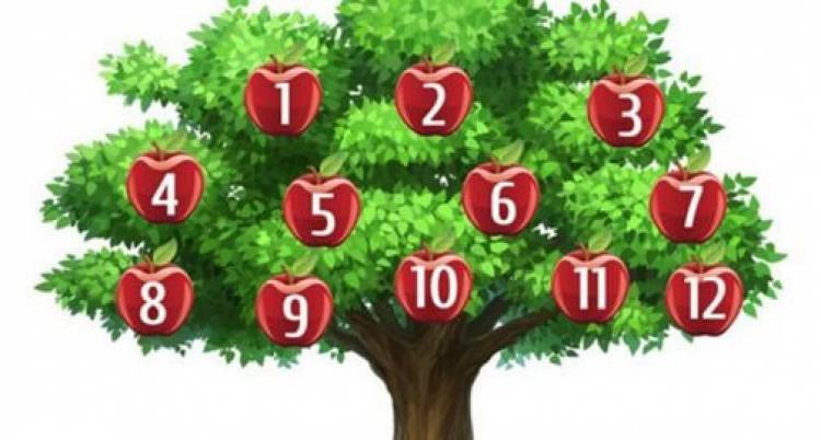 Ձեր ցանկությունը կկատարվի՞. ընտրեք խնձորը և իմացեք ճշմարտությունը
