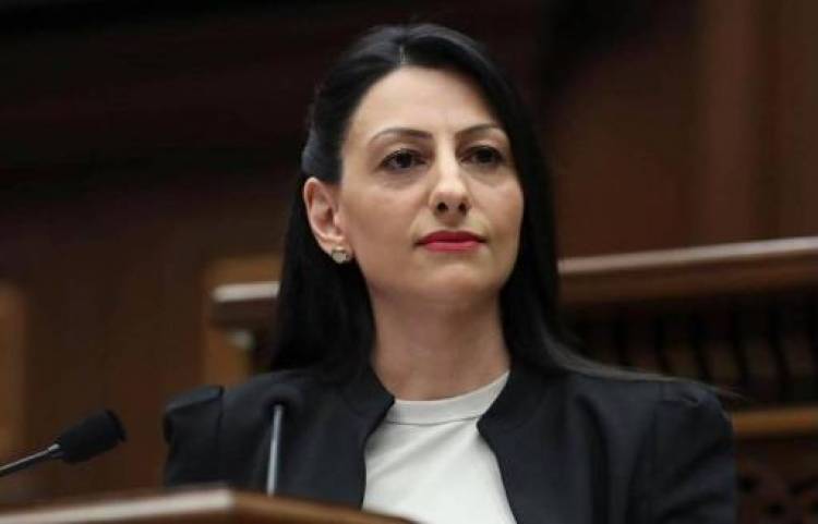 ՄԻՊ-ը Լիբանանից ժամանած Արենիի՝ Հայաստան մուտքի արգելքի մասով դիմելու է իրավասու մարմիններին