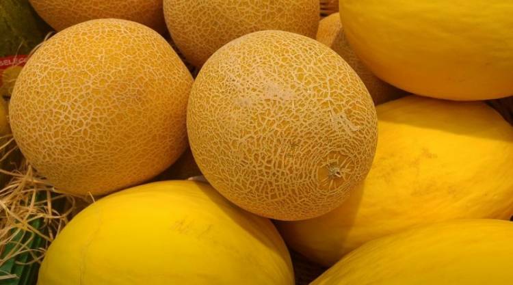Ինչպե՞ս ճիշտ պահել սեխը