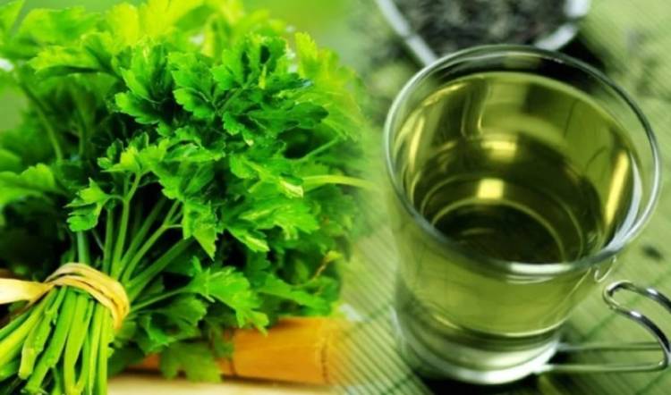 Մաղադանոսը, որպես քաղցկեղի դեմ պայքարի միջոց