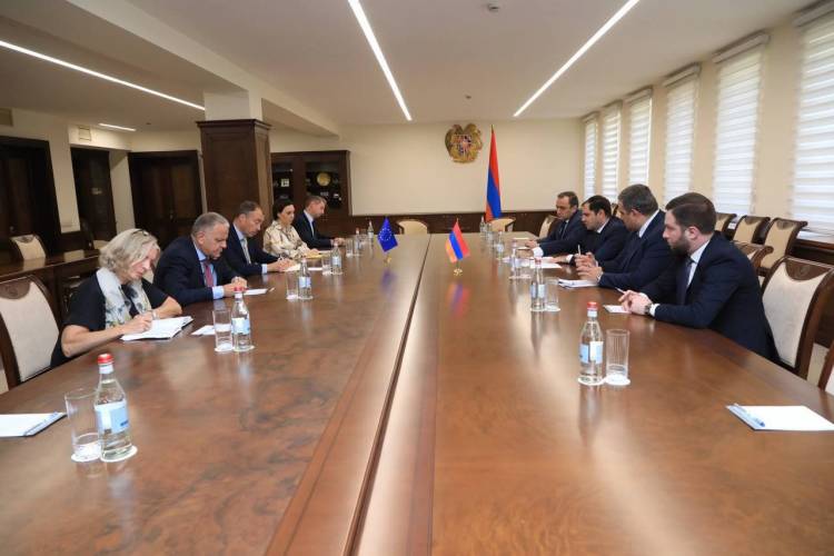 Սուրեն Պապիկյանը և Տոյվո Կլաարը քննարկել են անվտանգային հարցեր