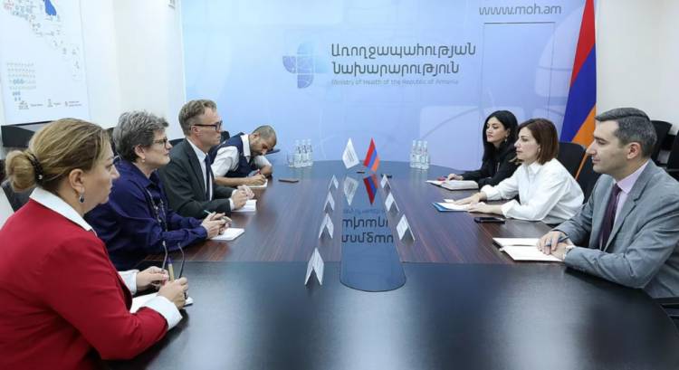 Ավանեսյանը ԱՀԿ հատուկ պատվիրակին ներկայացրել է Արցախից բռնի տեղահանման հետևանքները