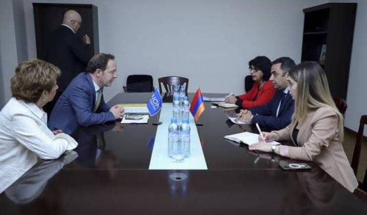 ԱԳՆ-ն Միգրացիայի միջազգային կազմակերպության հետ քննարկել է Արցախից բռնագաղթվածներին օժանդակման հարցը