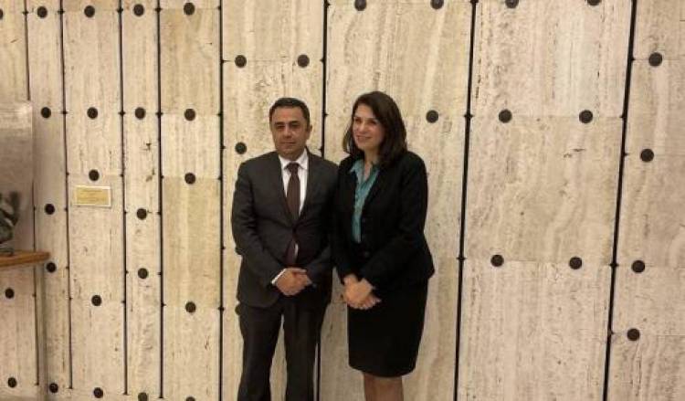 Հանդիպել են ԱԳ փոխնախարարը և Վալս Նոյեսը․ քննարկվել է Ադրբեջանի էթնիկ զտման քաղաքականությունը