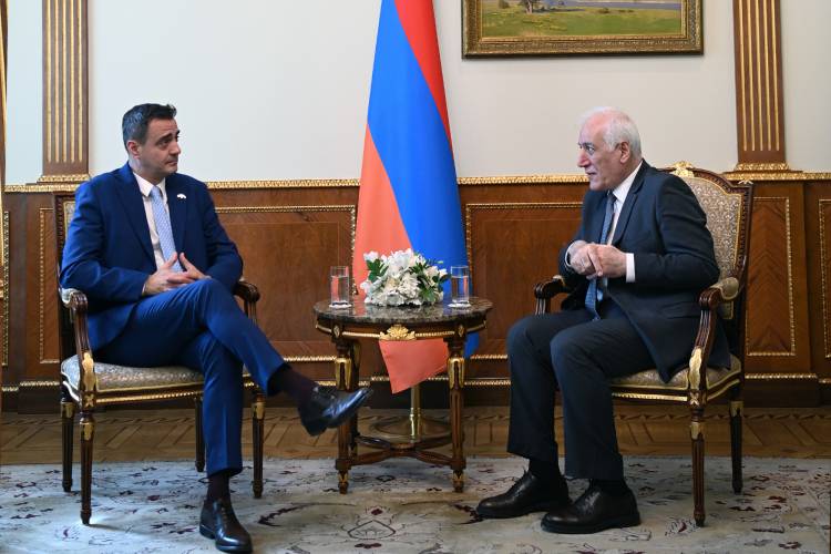 Մեր գործընկների աջակցությամբ ենք կարողանում որոշումներ ընդունել․ Խաչատուրյանը՝ Արգենտինայի դեսպանին