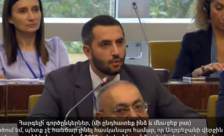 Հայաստանն «Արևմտյան Ադրբեջան» անվանելը ցույց է տալիս, որ Ադրբեջանը սպառնալիք է դարձել միջազգային կարգի համար. Ռուբինյան