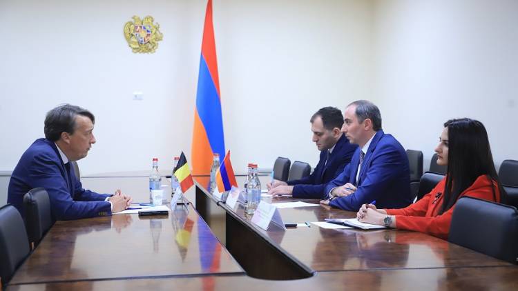 ԲՏԱ նախարարն ընդունել է Բելգիայի դեսպանին
