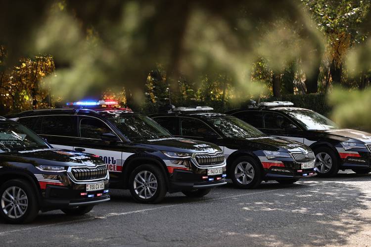 45 մլն 500 հազար դրամ՝ ճաղավանդակների համար. «Հրապարակ»