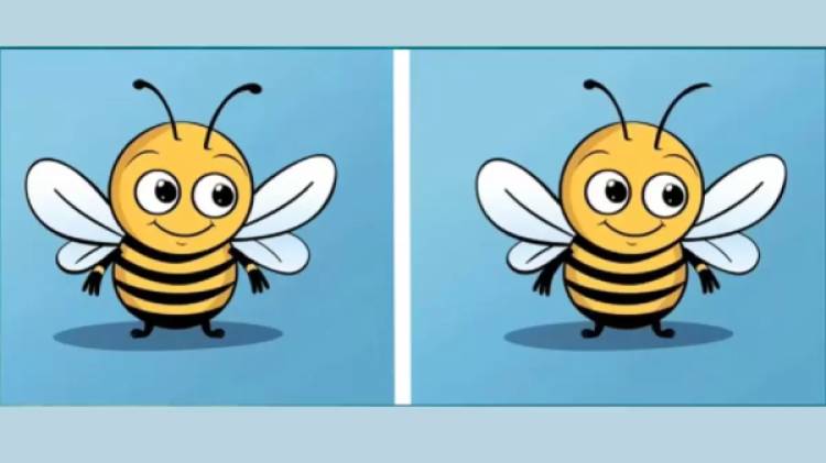 ԹԵՍՏ. 12 վայրկյանում գտեք երեք տարբերություն մեղուների միջև