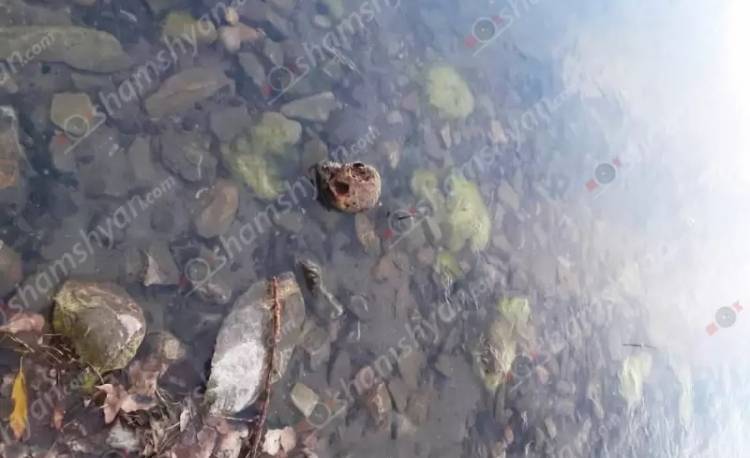 Առեղծվածային դեպք՝ Գեղարքունիքում. Սևանա լճի ափամերձ հատվածում հայտնաբերվել է երեխայի գանգ