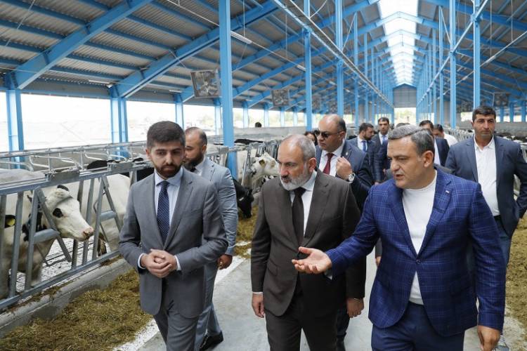 Այլևս իշխանության «սրտի գործարարը» չէ. ի՞նչն է կասկածելի թվացել Նիկոլ Փաշինյանին. «Փաստ»