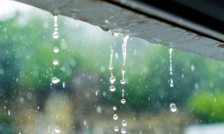 Անձրև, մառախուղ. ի՞նչ եղանակ է սպասվում առաջիկայում (լուսանկար)