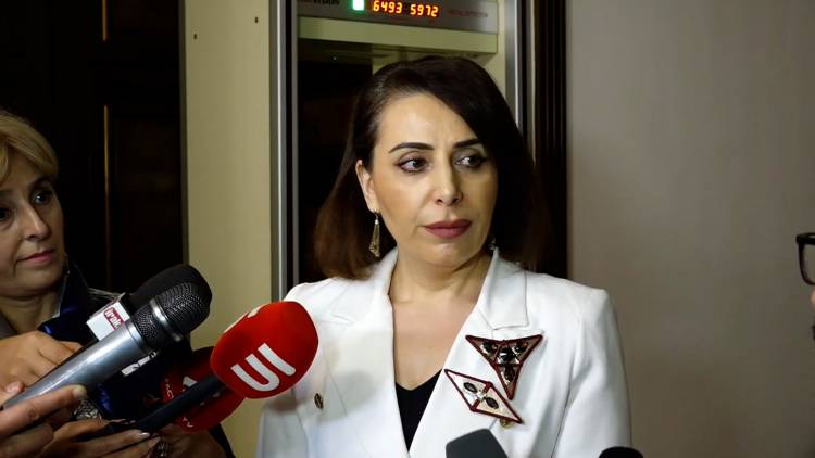 Լավ կլինի՝ ՔՊ-ականներն իրենց քվեարկած օրենքները մեկ-մեկ կարդան, որ գոնե բառերը ճիշտ օգտագործեն․ Հայկուհի Հարությունյան