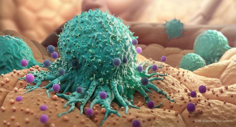 Որ վիրուսներն են բարձրացնում քաղցկեղի զարգացման հավանականությունը