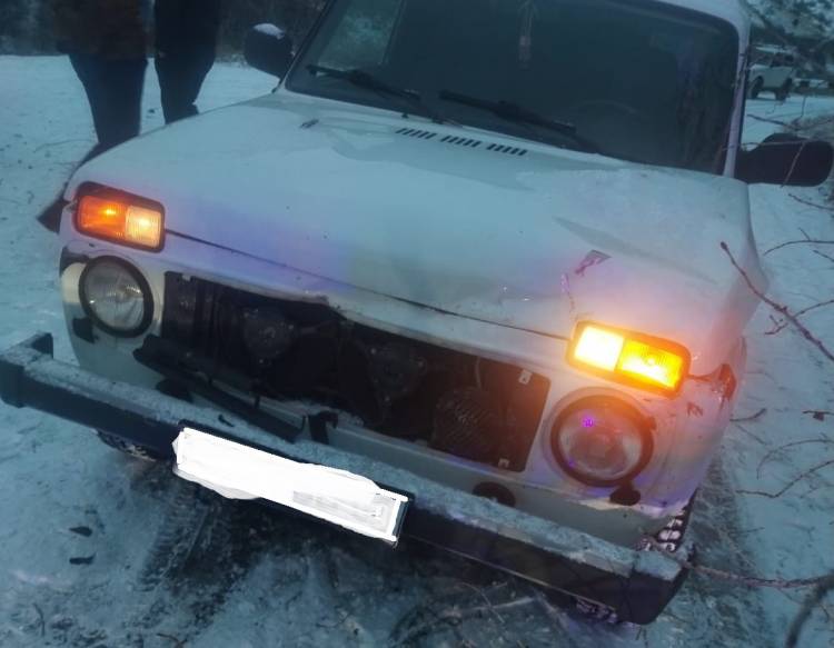 Ծառերը վնասել են VAZ 2121-ի դիմային դատվածը․ մանրամասներ