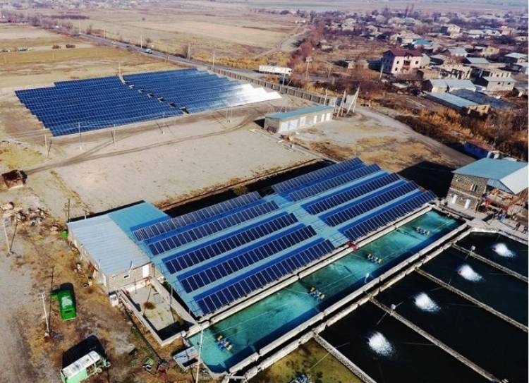 Որոշ ձկնաբուծարաններից վերցրած նմուշներում հայտնաբերվել են մանրէներ և մակաբույծներ․ մանրամասներ