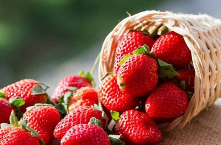 Ի՞նչ է կատարվում օրգանիզմի հետ, երբ ելակ եք ուտում