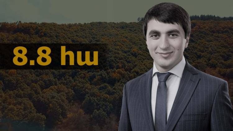 Սևակ Միքայելյանը տապալել է ապօրինի սեփականաշնորհված անտառների վերադարձի դատական գործերը
