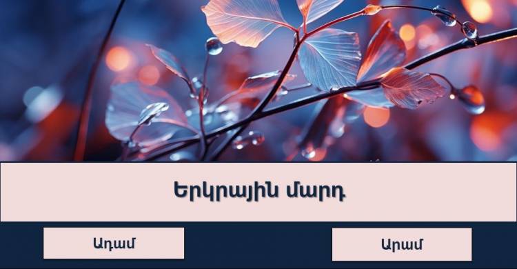 Թեստ․ կկարողանա՞ք ճիշտ նշել անձնանունների իմաստը
