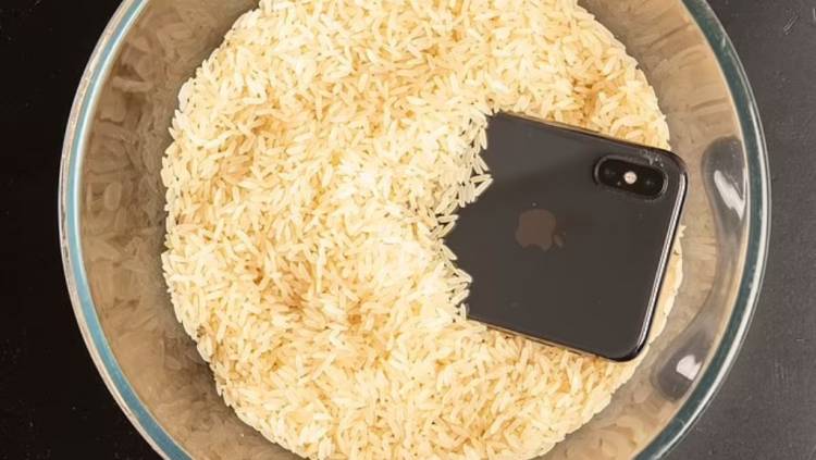 Apple-ն արգելել է iPhone-ները դնել բրնձի մեջ