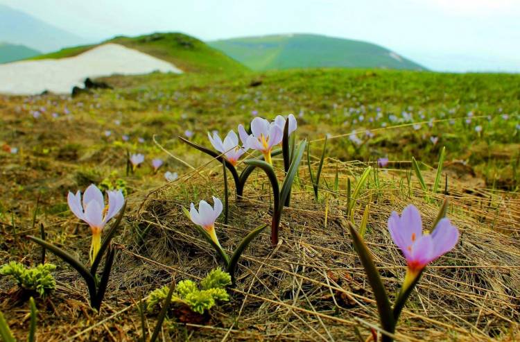 Ի՞նչ եղանակ սպասել առաջիկա օրերին