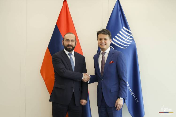 Միրզոյանը հանդիպում է ունեցել ՄՍՀԿ Գլխավոր տնօրենի հետ