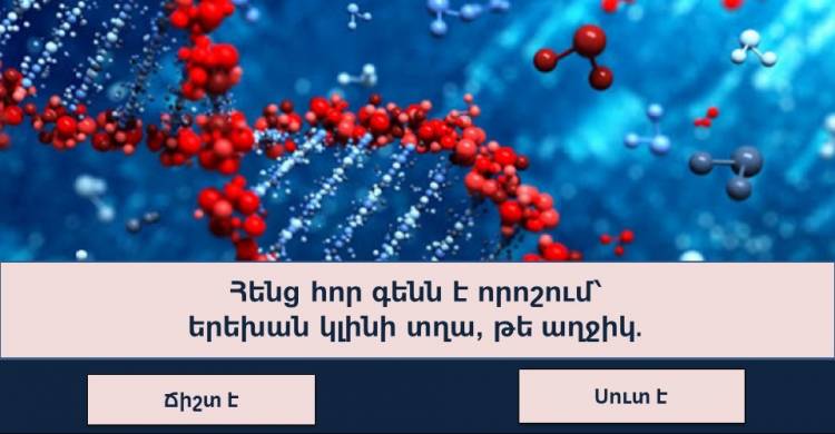 Թեստ․ եթե չկարողանաք հավաքել թեկուզ 7/10, ապա ինչպե՞ս եք ընդհանրապես ավարտել դպրոցը