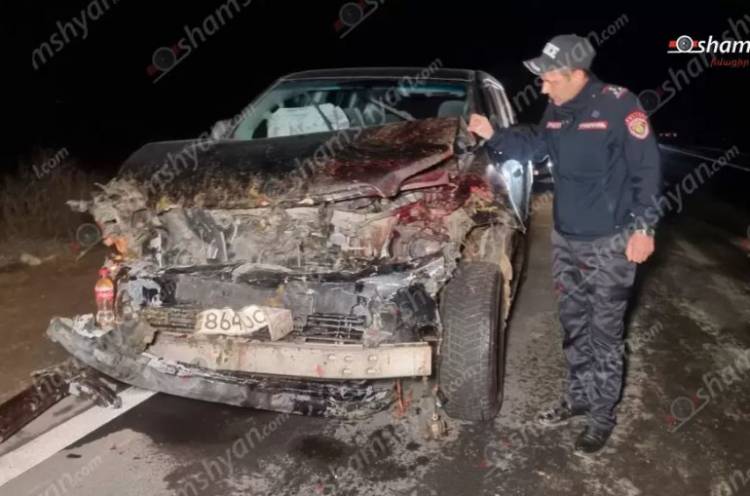 Երևան-Երասխ ճանապարհին Toyota Land Cruiser Prado-ն հարվածել է ոչխարի հոտին. 28 մայրացու ոչխարներ սատկել են