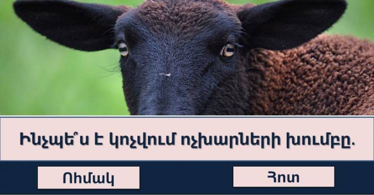 Թեստ․ եթե անցնեք թեստը՝ ուրեմն դուք հաստատ դպրոցում գերազանցիկ եք եղել