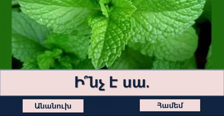 Թեստ ամենախելացիների համար․ վստահ ե՞ս, որ կկարողանաս հաղթահարել