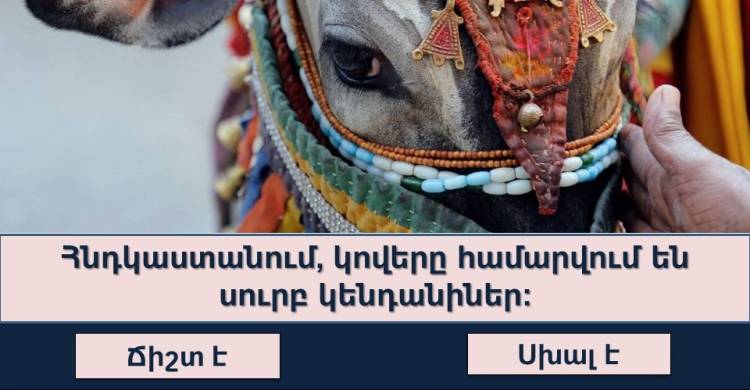 Թեստ․ շատ քչերին է հաջողվում 100%-ով անցնել այս հետաքրքրաշարժ թեստը, իսկ Ձեզ կհաջողվի՞