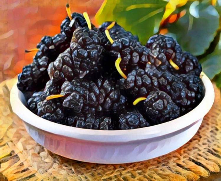 Երկարակեցության համար գլխավոր հատապտուղը, թեև քչերը գիտեն դրա մասին