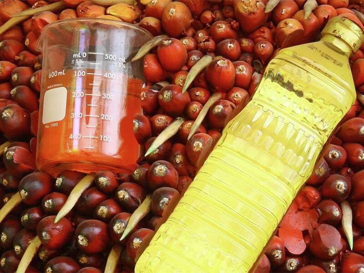 Բժիշկը քաղցկեղով հիվանդներին կոչ է անում հրաժարվել այս յուղից